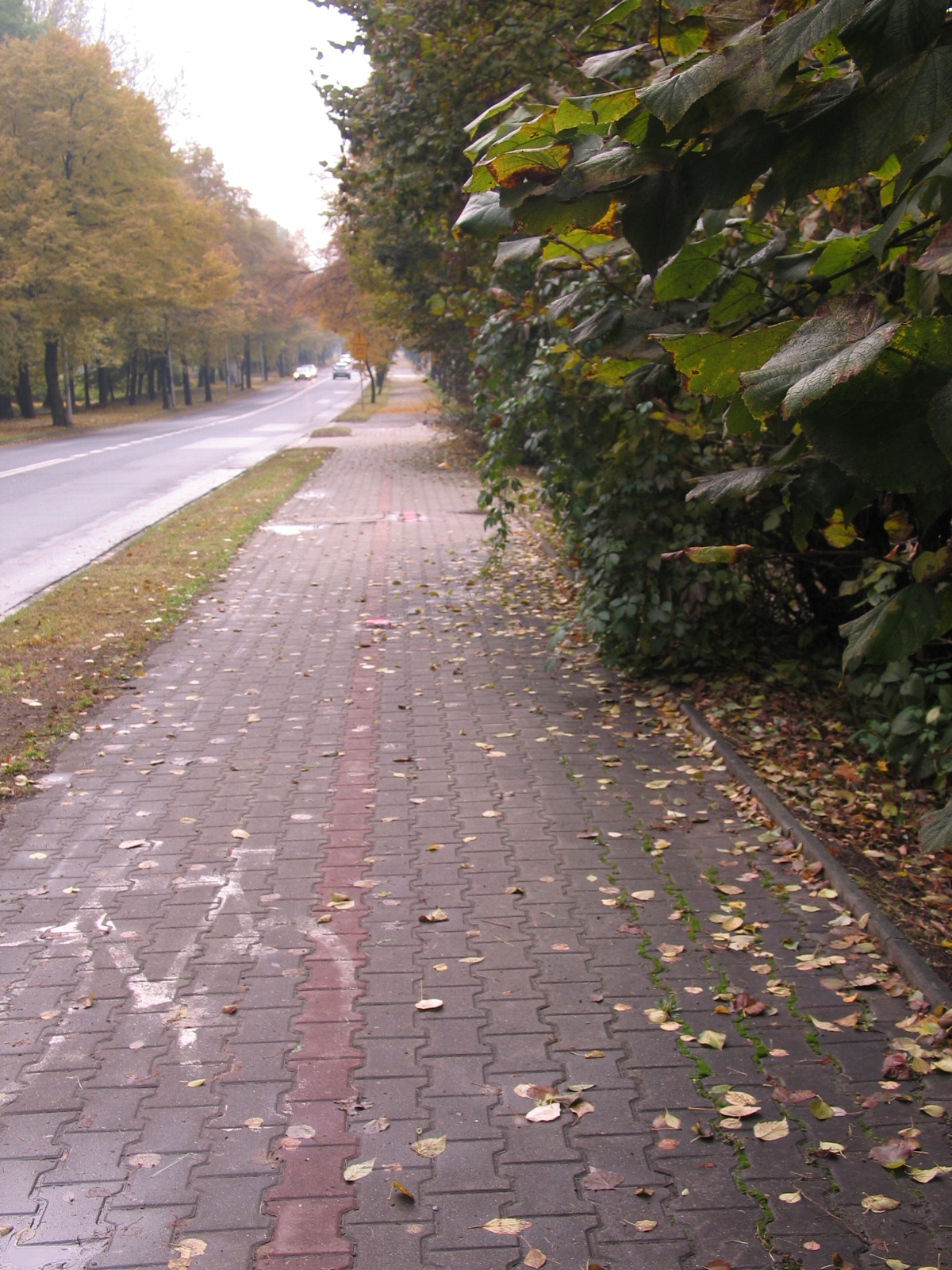 zdjęcie z 22-10-2016 (w czasie remontu przy rondzie- widok w stronę Mościc)