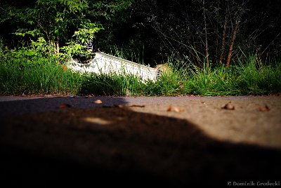 DSC_9311.JPG